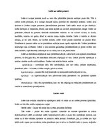 Konspekts 'Iztēle', 2.