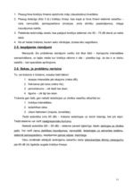 Referāts 'Aktuālākās problēmas Liepājā - autotransports, troksnis un klaiņojošie dzīvnieki', 11.