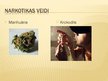 Prezentācija 'Narkotikas', 8.