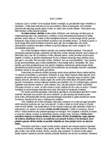 Eseja 'Kas ir cilvēks?', 3.