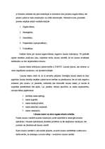 Konspekts 'Tiesiskā jaunrade jurisprudencē', 3.