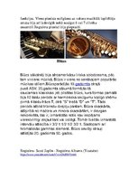 Konspekts 'Blūzs, regtaims, spiričuels', 3.