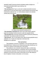 Referāts 'Ekoloģiskie riski', 5.