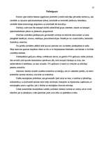 Referāts 'Ekoloģiskie riski', 25.