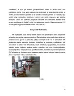 Prakses atskaite 'Prakses atskaite par kokapstrādes procesiem', 11.