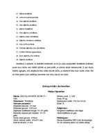 Prakses atskaite 'Prakses atskaite par kokapstrādes procesiem', 16.