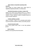 Prakses atskaite 'Prakses atskaite par kokapstrādes procesiem', 19.