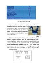Prakses atskaite 'Prakses atskaite par kokapstrādes procesiem', 29.