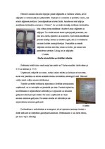 Prakses atskaite 'Prakses atskaite par kokapstrādes procesiem', 30.