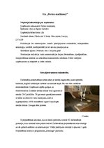 Prakses atskaite 'Prakses atskaite par kokapstrādes procesiem', 31.