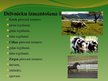 Prezentācija 'Zīdītāju nozīme cilvēka profesionālajā darbībā', 5.
