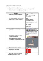 Paraugs 'Informācijas meklēšana internetā', 1.