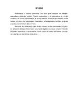 Referāts 'Restaurācija', 3.