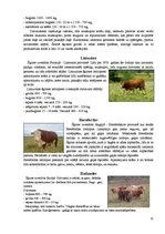 Prakses atskaite 'Lauksaimniecība', 15.