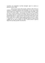 Eseja 'Tehnikas progresa ietekme uz industrializāciju', 2.