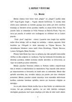 Referāts 'Hipiji Latvijā un pasaulē', 3.