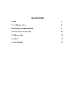 Referāts 'Lindas Nemieras grāmata "Kaķis maisā"', 2.