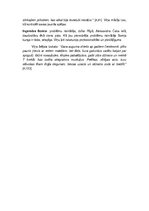 Referāts 'Lindas Nemieras grāmata "Kaķis maisā"', 12.