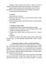 Referāts 'Kādas iespējas sniedz 6.ietvara programmas piedāvātais finansējums un kā Latvija', 3.