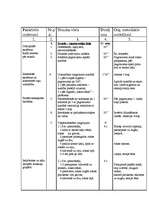 Konspekts 'Vingrošanas stundas konspekts', 3.