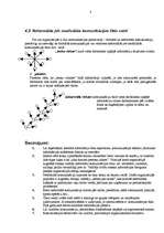 Referāts 'Komunikācijas nozīme menedžmentā un veidi organizācijās', 8.