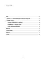 Referāts 'Draudzība kā vērtība cilvēku dzīvē', 2.