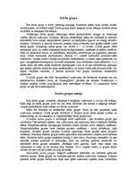 Referāts 'Darba grupas vadība', 2.