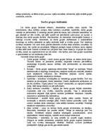 Referāts 'Darba grupas vadība', 5.