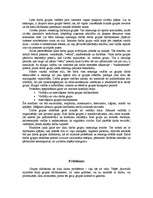 Referāts 'Darba grupas vadība', 8.