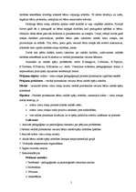 Diplomdarbs 'Vecākā pirmsskolas vecuma bērna radošo spēju attīstības pedagoģiskie noteikumi s', 4.