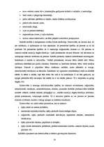 Diplomdarbs 'Vecākā pirmsskolas vecuma bērna radošo spēju attīstības pedagoģiskie noteikumi s', 25.