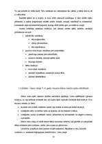 Diplomdarbs 'Vecākā pirmsskolas vecuma bērna radošo spēju attīstības pedagoģiskie noteikumi s', 32.