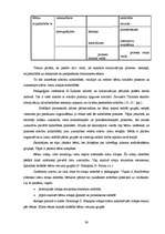 Diplomdarbs 'Vecākā pirmsskolas vecuma bērna radošo spēju attīstības pedagoģiskie noteikumi s', 38.