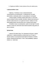 Prakses atskaite 'Prakses atskaite vairumtirdzniecības uzņēmumā "X"', 5.
