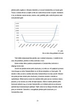 Prakses atskaite 'Prakses atskaite vairumtirdzniecības uzņēmumā "X"', 23.