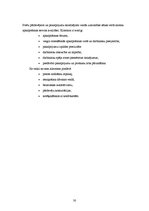 Prakses atskaite 'Prakses atskaite vairumtirdzniecības uzņēmumā "X"', 30.