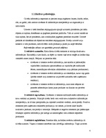 Referāts 'Reklāmas satura un faktiskā izpildījuma novērtējums uzņēmumā SIA "Rānda"', 4.