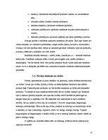 Referāts 'Reklāmas satura un faktiskā izpildījuma novērtējums uzņēmumā SIA "Rānda"', 16.