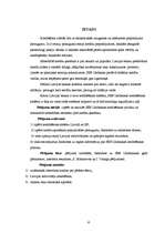 Referāts '"SEB Unibankas" kreditēšanas politika', 4.