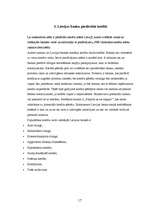 Referāts '"SEB Unibankas" kreditēšanas politika', 17.