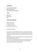 Referāts '"SEB Unibankas" kreditēšanas politika', 19.