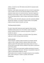 Referāts '"SEB Unibankas" kreditēšanas politika', 21.