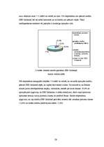 Referāts '"SEB Unibankas" kreditēšanas politika', 28.