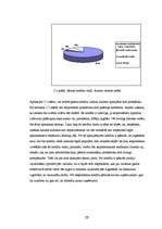 Referāts '"SEB Unibankas" kreditēšanas politika', 29.