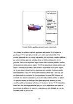 Referāts '"SEB Unibankas" kreditēšanas politika', 30.