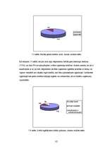 Referāts '"SEB Unibankas" kreditēšanas politika', 32.