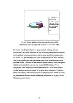 Referāts '"SEB Unibankas" kreditēšanas politika', 35.