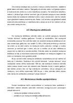 Referāts 'Izmaiņas mantošanas lietu kārtošanā', 12.