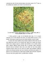 Diplomdarbs 'Ķūžu ezera piekrastes veģetācijas izmaiņas holocēnā', 8.