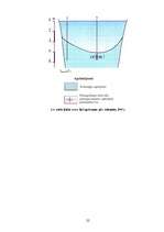 Diplomdarbs 'Ķūžu ezera piekrastes veģetācijas izmaiņas holocēnā', 22.